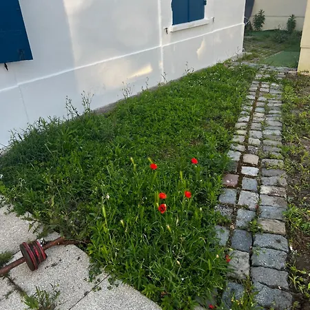 Holiday home La Maison Teranga Au Bourg De Villenave-d'Ornon
